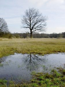 excavate for flood drainage